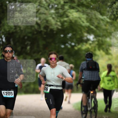 30.08.2026 - Elbe Triathlon Hamburg Antke Förster http://msf.ph/oto/10103304 30.08.2026 11:36:36 Laufen 1205, 36 meine-sportfotos.de