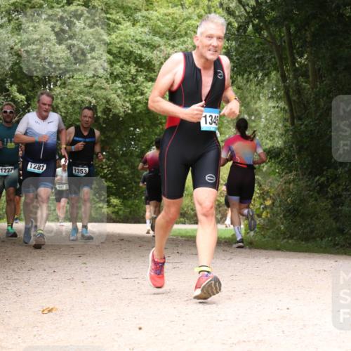 30.08.2026 - Elbe Triathlon Hamburg Antke Förster http://msf.ph/oto/10103413 30.08.2026 11:41:17 Laufen 1227, 5, 1287, 47, 1353, 1345 meine-sportfotos.de