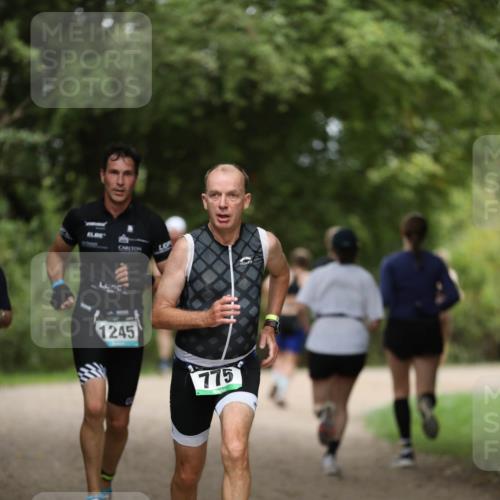 30.08.2026 - Elbe Triathlon Hamburg Antke Förster http://msf.ph/oto/10103430 30.08.2026 11:38:00 Laufen 1245, 775 meine-sportfotos.de