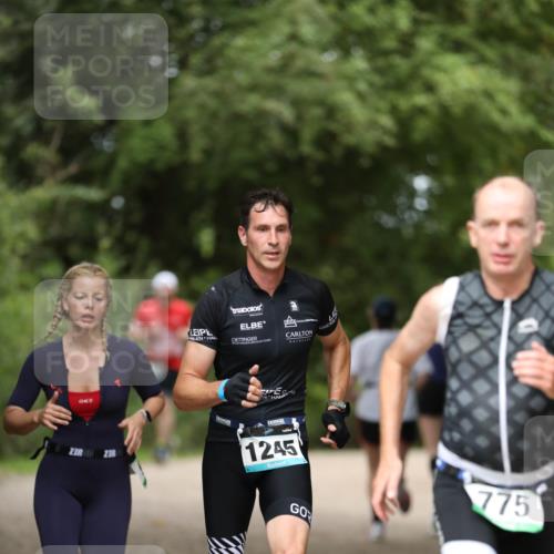 30.08.2026 - Elbe Triathlon Hamburg Antke Förster http://msf.ph/oto/10103434 30.08.2026 11:38:01 Laufen 7, 1245, 775 meine-sportfotos.de