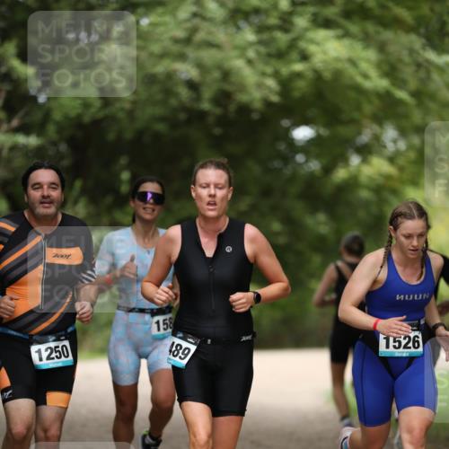 30.08.2026 - Elbe Triathlon Hamburg Antke Förster http://msf.ph/oto/10104772 30.08.2026 11:56:42 Laufen 1250, 158, 489, 1526 meine-sportfotos.de