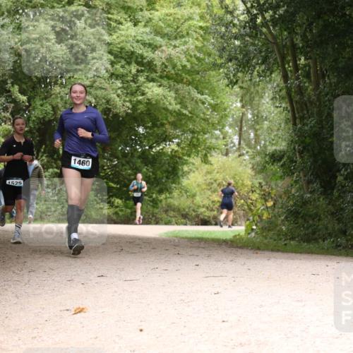 30.08.2026 - Elbe Triathlon Hamburg Antke Förster http://msf.ph/oto/10104985 30.08.2026 12:02:44 Laufen 1525, 1460 meine-sportfotos.de