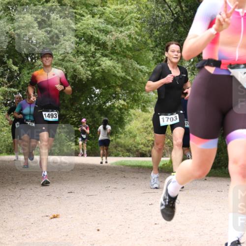 30.08.2026 - Elbe Triathlon Hamburg Antke Förster http://msf.ph/oto/10105091 30.08.2026 12:04:01 Laufen 1493, 1703, 74, 72 meine-sportfotos.de