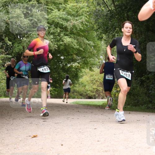 30.08.2026 - Elbe Triathlon Hamburg Antke Förster http://msf.ph/oto/10105093 30.08.2026 12:04:01 Laufen 47, 493, 1674, 1703 meine-sportfotos.de