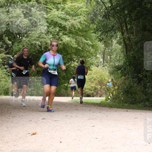 30.08.2026 - Elbe Triathlon Hamburg Antke Förster http://msf.ph/oto/10105099 30.08.2026 12:04:03 Laufen 1448, 47, 1674, 14 meine-sportfotos.de