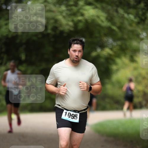 30.08.2026 - Elbe Triathlon Hamburg Antke Förster http://msf.ph/oto/10105498 30.08.2026 12:05:02 Laufen 1095 meine-sportfotos.de