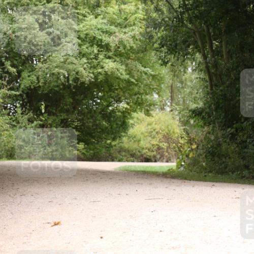 30.08.2026 - Elbe Triathlon Hamburg Antke Förster http://msf.ph/oto/10105505 30.08.2026 12:11:35 Laufen  meine-sportfotos.de