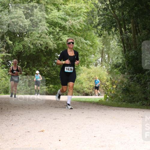 30.08.2026 - Elbe Triathlon Hamburg Antke Förster http://msf.ph/oto/10106271 30.08.2026 12:22:51 Laufen 638, 1636 meine-sportfotos.de