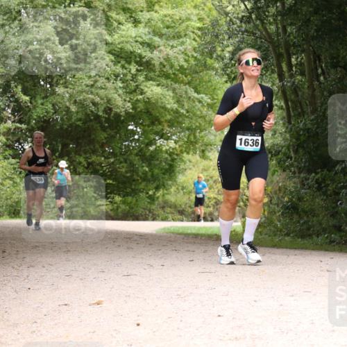 30.08.2026 - Elbe Triathlon Hamburg Antke Förster http://msf.ph/oto/10106275 30.08.2026 12:22:52 Laufen 638, 1636 meine-sportfotos.de