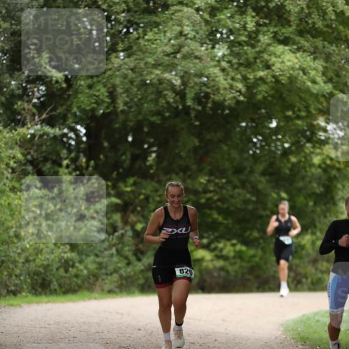 30.08.2026 - Elbe Triathlon Hamburg Antke Förster http://msf.ph/oto/10106306 30.08.2026 12:17:09 Laufen 820 meine-sportfotos.de