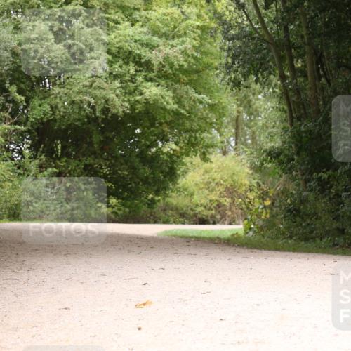 30.08.2026 - Elbe Triathlon Hamburg Antke Förster http://msf.ph/oto/10106563 30.08.2026 12:27:15 Laufen  meine-sportfotos.de
