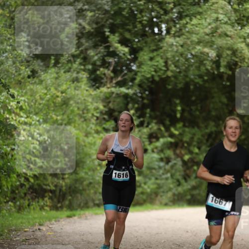 30.08.2026 - Elbe Triathlon Hamburg Antke Förster http://msf.ph/oto/10106976 30.08.2026 12:27:50 Laufen 1616, 1667, 73 meine-sportfotos.de