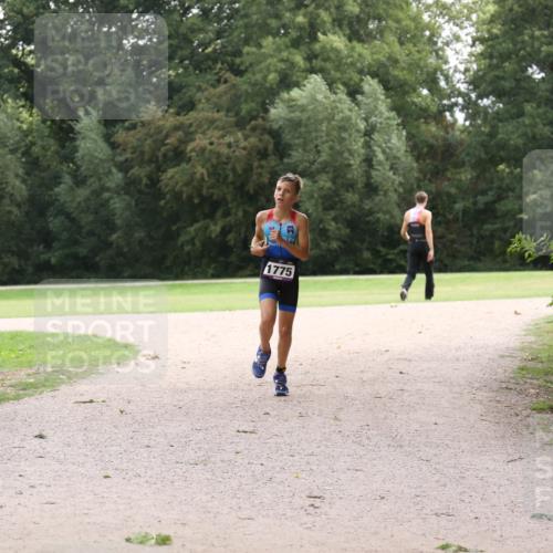 30.08.2026 - Elbe Triathlon Hamburg Antke Förster http://msf.ph/oto/10107165 30.08.2026 12:50:34 Laufen 1775 meine-sportfotos.de