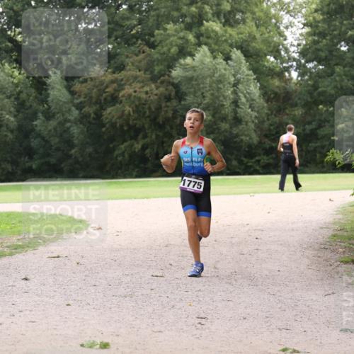 30.08.2026 - Elbe Triathlon Hamburg Antke Förster http://msf.ph/oto/10107167 30.08.2026 12:50:34 Laufen 1775 meine-sportfotos.de