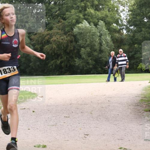 30.08.2026 - Elbe Triathlon Hamburg Antke Förster http://msf.ph/oto/10107257 30.08.2026 12:51:41 Laufen 1833 meine-sportfotos.de
