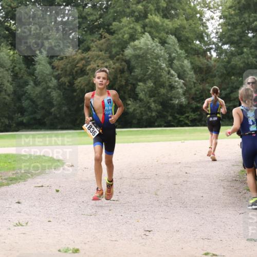 30.08.2026 - Elbe Triathlon Hamburg Antke Förster http://msf.ph/oto/10107293 30.08.2026 12:52:06 Laufen 1836 meine-sportfotos.de