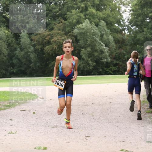 30.08.2026 - Elbe Triathlon Hamburg Antke Förster http://msf.ph/oto/10107295 30.08.2026 12:52:06 Laufen 1836 meine-sportfotos.de
