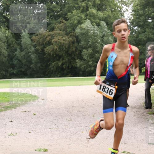 30.08.2026 - Elbe Triathlon Hamburg Antke Förster http://msf.ph/oto/10107299 30.08.2026 12:52:08 Laufen 1836 meine-sportfotos.de
