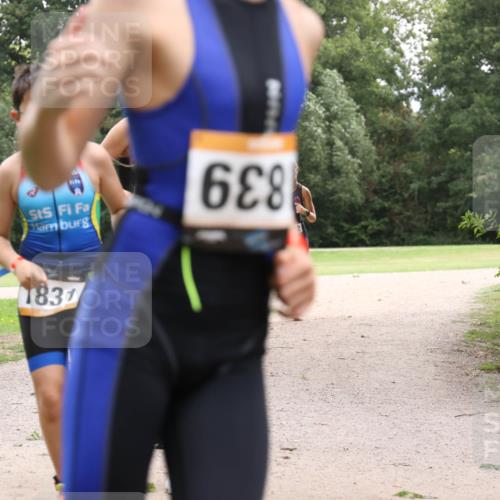 30.08.2026 - Elbe Triathlon Hamburg Antke Förster http://msf.ph/oto/10107335 30.08.2026 12:52:41 Laufen 1831, 688 meine-sportfotos.de