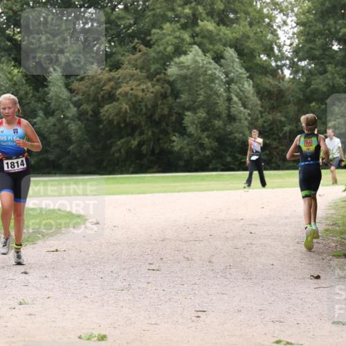 30.08.2026 - Elbe Triathlon Hamburg Antke Förster http://msf.ph/oto/10107407 30.08.2026 12:53:40 Laufen 1814 meine-sportfotos.de