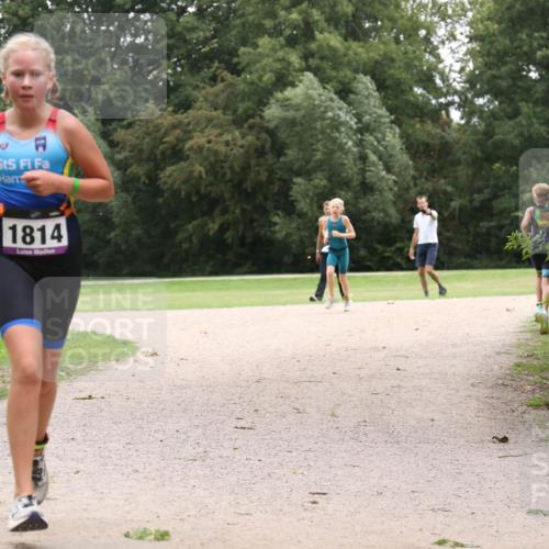 30.08.2026 - Elbe Triathlon Hamburg Antke Förster http://msf.ph/oto/10107413 30.08.2026 12:53:42 Laufen 1814 meine-sportfotos.de