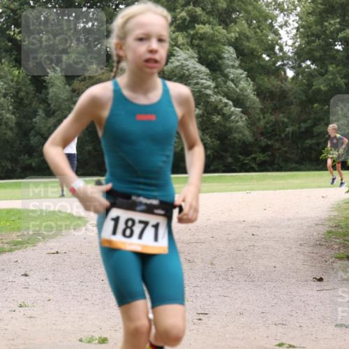 30.08.2026 - Elbe Triathlon Hamburg Antke Förster http://msf.ph/oto/10107427 30.08.2026 12:53:51 Laufen 1871 meine-sportfotos.de