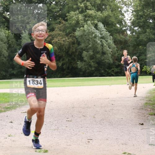 30.08.2026 - Elbe Triathlon Hamburg Antke Förster http://msf.ph/oto/10107437 30.08.2026 12:54:01 Laufen 1834 meine-sportfotos.de