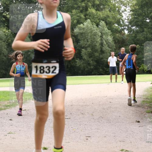 30.08.2026 - Elbe Triathlon Hamburg Antke Förster http://msf.ph/oto/10107541 30.08.2026 12:54:55 Laufen 1832 meine-sportfotos.de