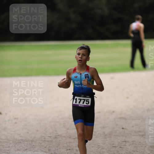 30.08.2026 - Elbe Triathlon Hamburg Antke Förster http://msf.ph/oto/10107570 30.08.2026 12:50:34 Laufen 1775 meine-sportfotos.de