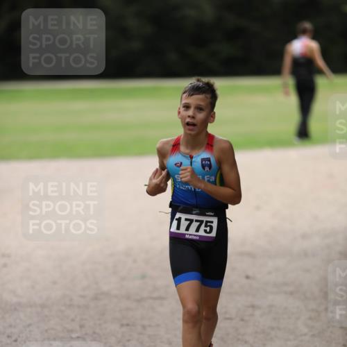 30.08.2026 - Elbe Triathlon Hamburg Antke Förster http://msf.ph/oto/10107572 30.08.2026 12:50:35 Laufen 1775 meine-sportfotos.de