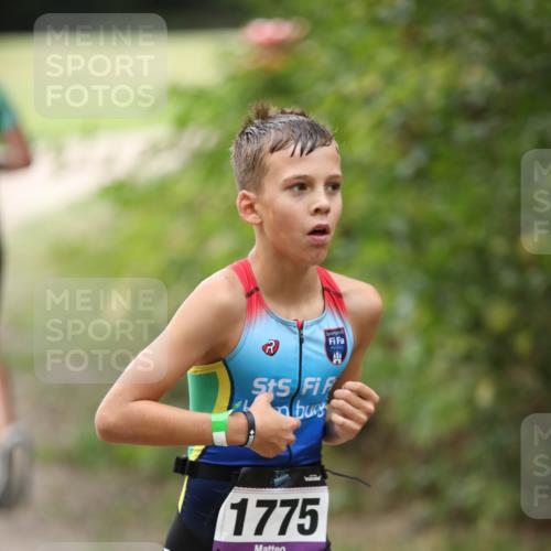 30.08.2026 - Elbe Triathlon Hamburg Antke Förster http://msf.ph/oto/10107578 30.08.2026 12:50:37 Laufen 1775 meine-sportfotos.de