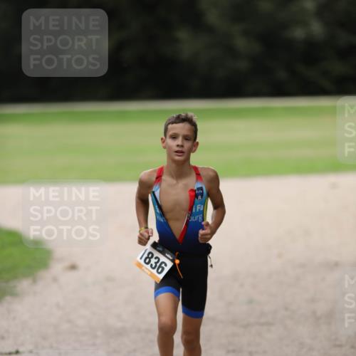 30.08.2026 - Elbe Triathlon Hamburg Antke Förster http://msf.ph/oto/10107696 30.08.2026 12:52:07 Laufen 1836 meine-sportfotos.de