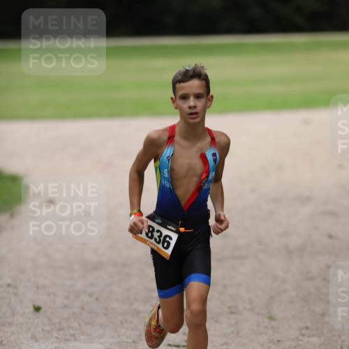 30.08.2026 - Elbe Triathlon Hamburg Antke Förster http://msf.ph/oto/10107698 30.08.2026 12:52:07 Laufen 836 meine-sportfotos.de