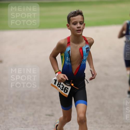 30.08.2026 - Elbe Triathlon Hamburg Antke Förster http://msf.ph/oto/10107700 30.08.2026 12:52:08 Laufen 1836 meine-sportfotos.de