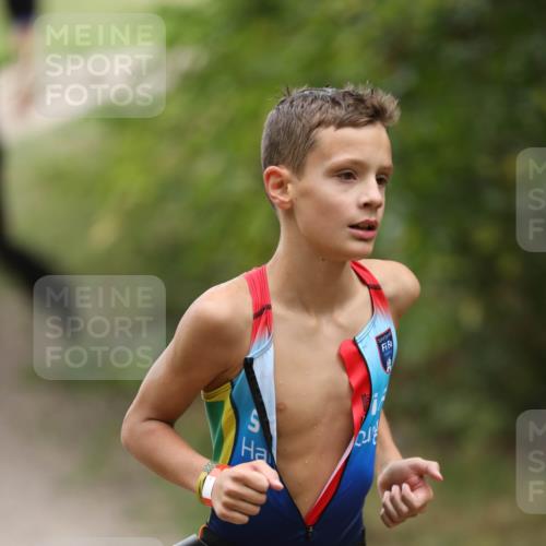 30.08.2026 - Elbe Triathlon Hamburg Antke Förster http://msf.ph/oto/10107704 30.08.2026 12:52:09 Laufen 1836 meine-sportfotos.de