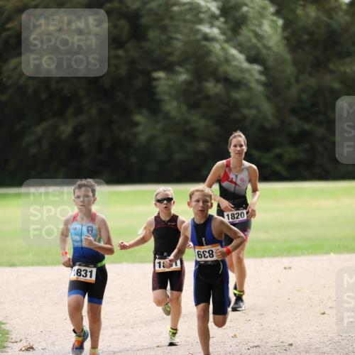 30.08.2026 - Elbe Triathlon Hamburg Antke Förster http://msf.ph/oto/10107724 30.08.2026 12:52:36 Laufen 1831, 688, 1820 meine-sportfotos.de