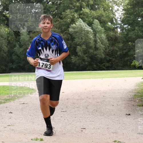 30.08.2026 - Elbe Triathlon Hamburg Antke Förster http://msf.ph/oto/10107775 30.08.2026 13:01:35 Laufen 1793 meine-sportfotos.de