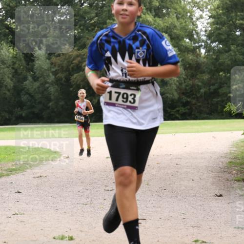 30.08.2026 - Elbe Triathlon Hamburg Antke Förster http://msf.ph/oto/10107777 30.08.2026 13:01:36 Laufen 1866, 1793 meine-sportfotos.de