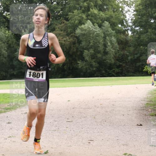 30.08.2026 - Elbe Triathlon Hamburg Antke Förster http://msf.ph/oto/10107839 30.08.2026 13:02:45 Laufen 1801 meine-sportfotos.de