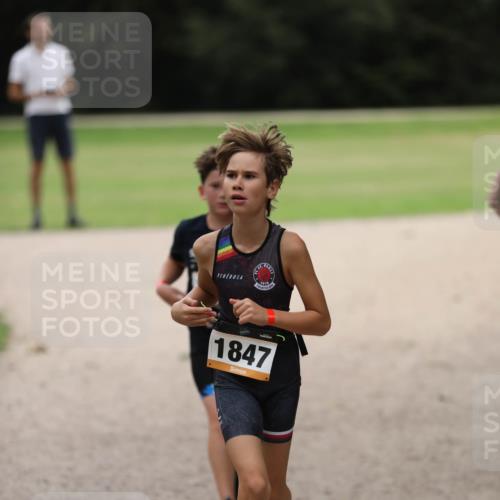 30.08.2026 - Elbe Triathlon Hamburg Antke Förster http://msf.ph/oto/10108032 30.08.2026 12:56:43 Laufen 0161, 1847 meine-sportfotos.de