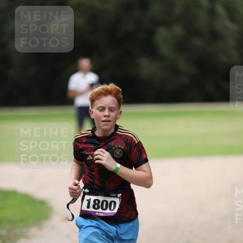 30.08.2026 - Elbe Triathlon Hamburg Antke Förster http://msf.ph/oto/10108068 30.08.2026 12:57:18 Laufen 1800 meine-sportfotos.de