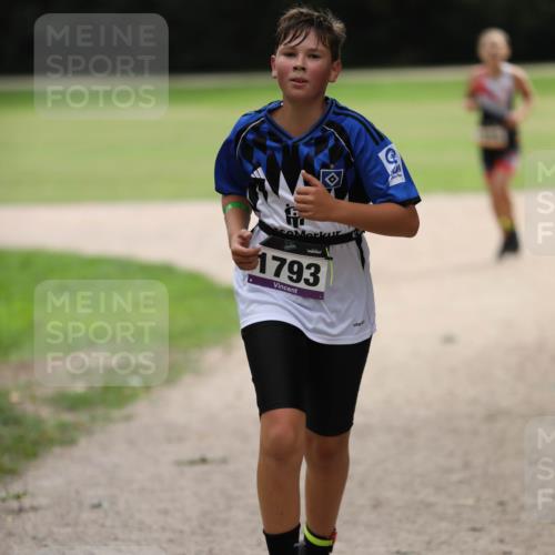 30.08.2026 - Elbe Triathlon Hamburg Antke Förster http://msf.ph/oto/10108176 30.08.2026 13:01:35 Laufen 1793 meine-sportfotos.de