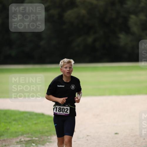 30.08.2026 - Elbe Triathlon Hamburg Antke Förster http://msf.ph/oto/10108226 30.08.2026 13:02:37 Laufen 1802 meine-sportfotos.de