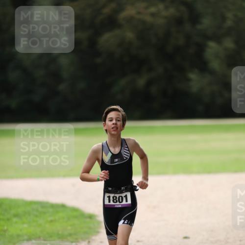 30.08.2026 - Elbe Triathlon Hamburg Antke Förster http://msf.ph/oto/10108236 30.08.2026 13:02:43 Laufen 1801 meine-sportfotos.de