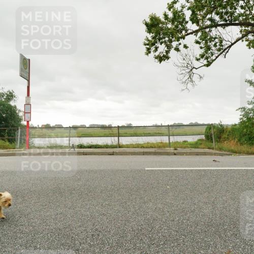 30.08.2026 - Elbe Triathlon Hamburg Michael Burmester http://msf.ph/oto/10111027 30.08.2026 15:41:51 Radfahren  meine-sportfotos.de