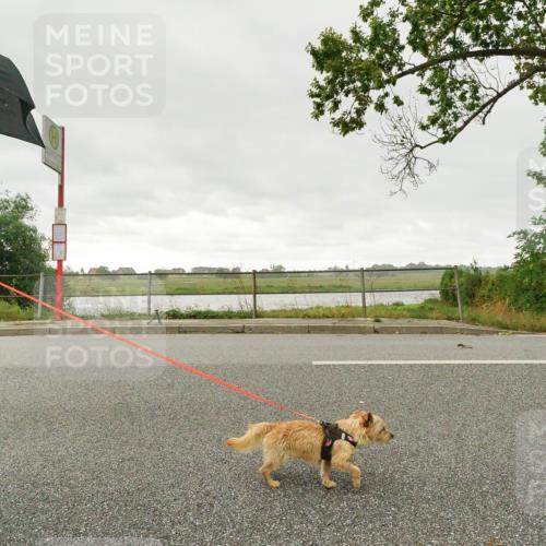 30.08.2026 - Elbe Triathlon Hamburg Michael Burmester http://msf.ph/oto/10111028 30.08.2026 15:41:52 Radfahren  meine-sportfotos.de
