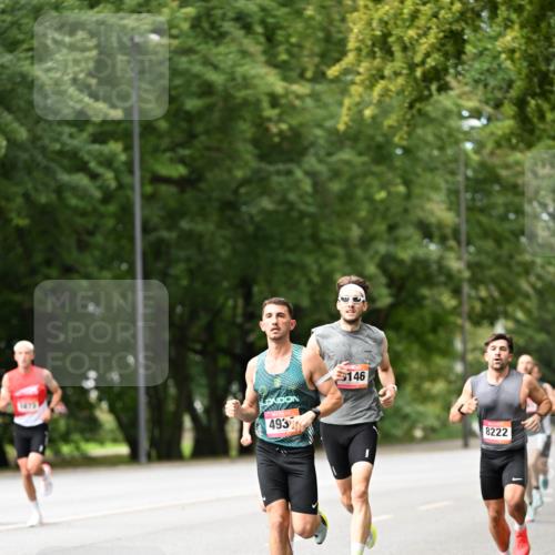 06.09.2026 - CURREX Alsterlauf Dr. Thomas Lammeyer http://msf.ph/oto/10113220 06.09.2026 09:04:33 Laufen 493, 146, 8222 meine-sportfotos.de