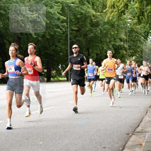 06.09.2026 - CURREX Alsterlauf Dr. Thomas Lammeyer http://msf.ph/oto/10113312 06.09.2026 09:04:49 Laufen 5304, 24, 342, 8194, 3035, 5545, 5455, 5617 meine-sportfotos.de