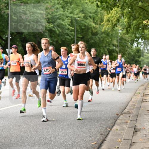 06.09.2026 - CURREX Alsterlauf Dr. Thomas Lammeyer http://msf.ph/oto/10113343 06.09.2026 09:04:54 Laufen 8304, 3035, 6296, 545, 6426, 5994, 398 meine-sportfotos.de