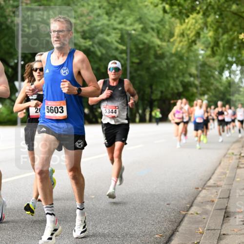 06.09.2026 - CURREX Alsterlauf Dr. Thomas Lammeyer http://msf.ph/oto/10113368 06.09.2026 09:04:57 Laufen 6000, 2, 5603, 5344 meine-sportfotos.de